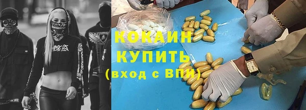 кокс Арсеньев