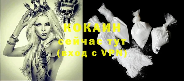 прущие грибы Армянск