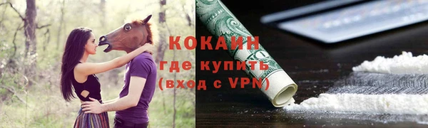 прущие грибы Армянск