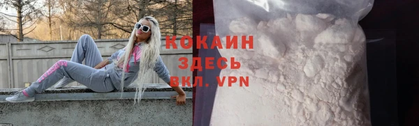 кокс Арсеньев
