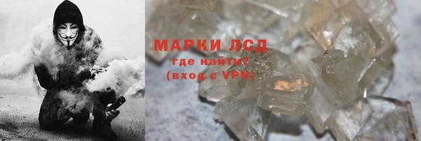 прущие грибы Армянск
