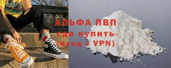 прущие грибы Армянск