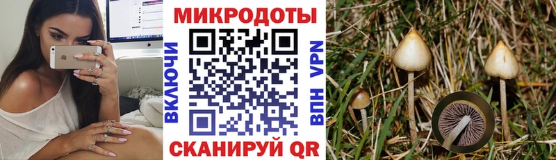 blacksprut ONION  Полесск  Галлюциногенные грибы прущие грибы  магазин  наркотиков 